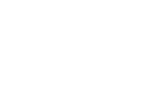 ASAI Industrial